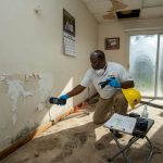 Best Mold Inspection in La Place LA: What You Need to Know After Water Damage?